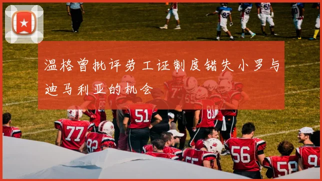 温格曾批评劳工证制度错失小罗与迪马利亚的机会