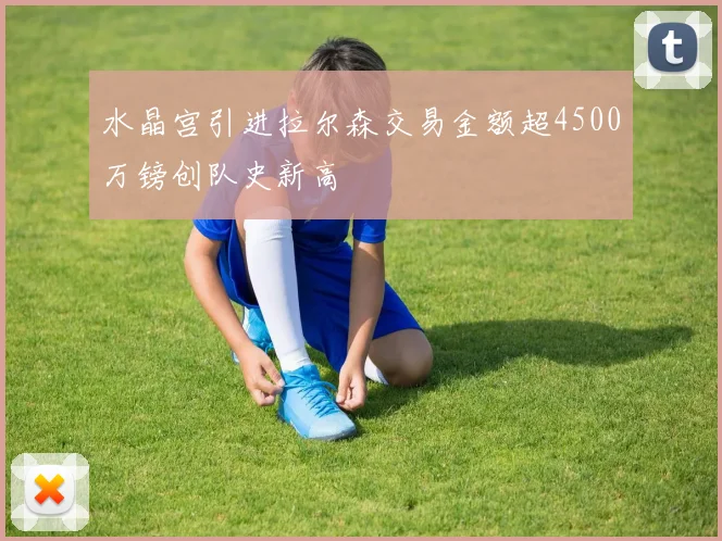 水晶宫引进拉尔森交易金额超4500万镑创队史新高